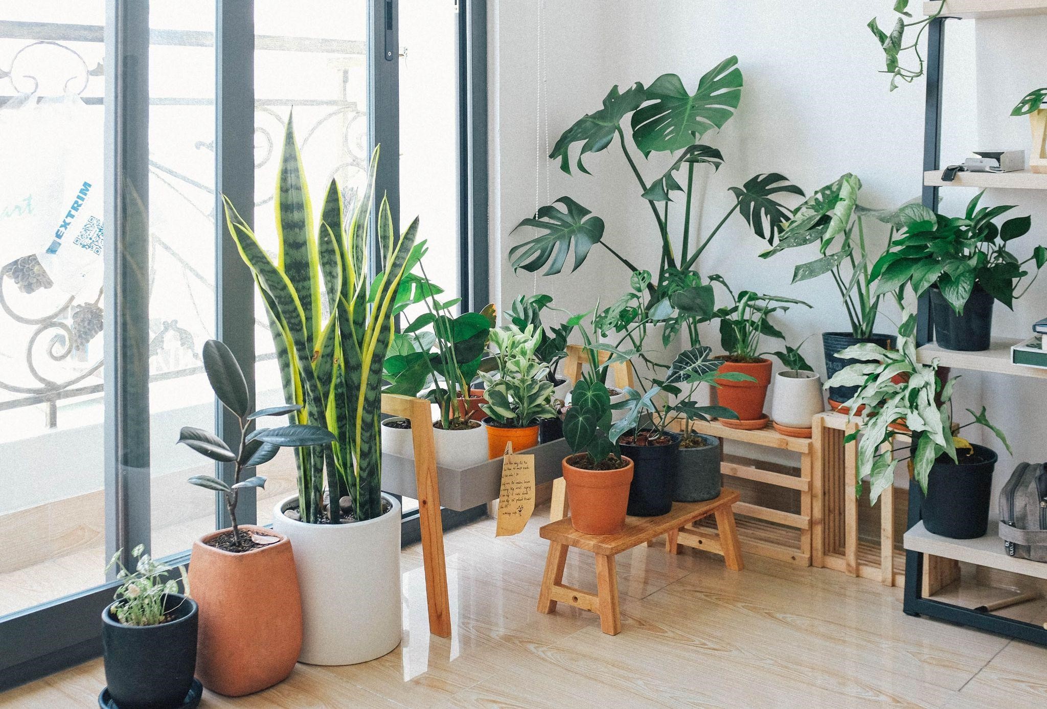 Bring Nature To Your Home