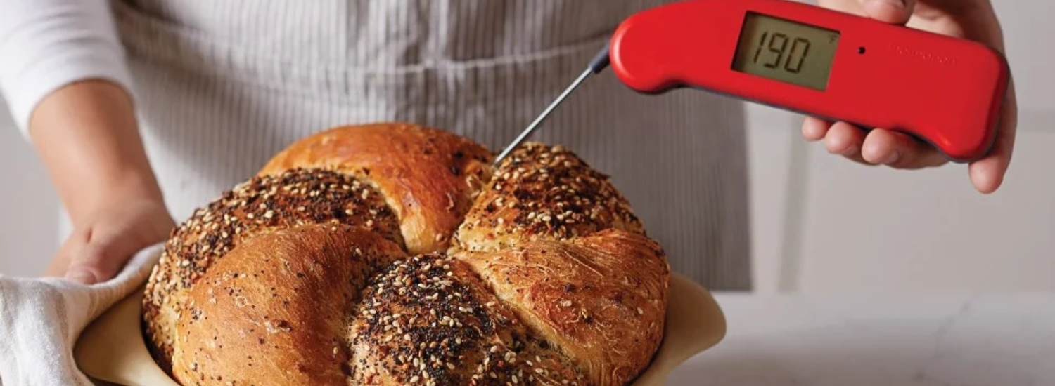 Thermapen Classic Thermometer
