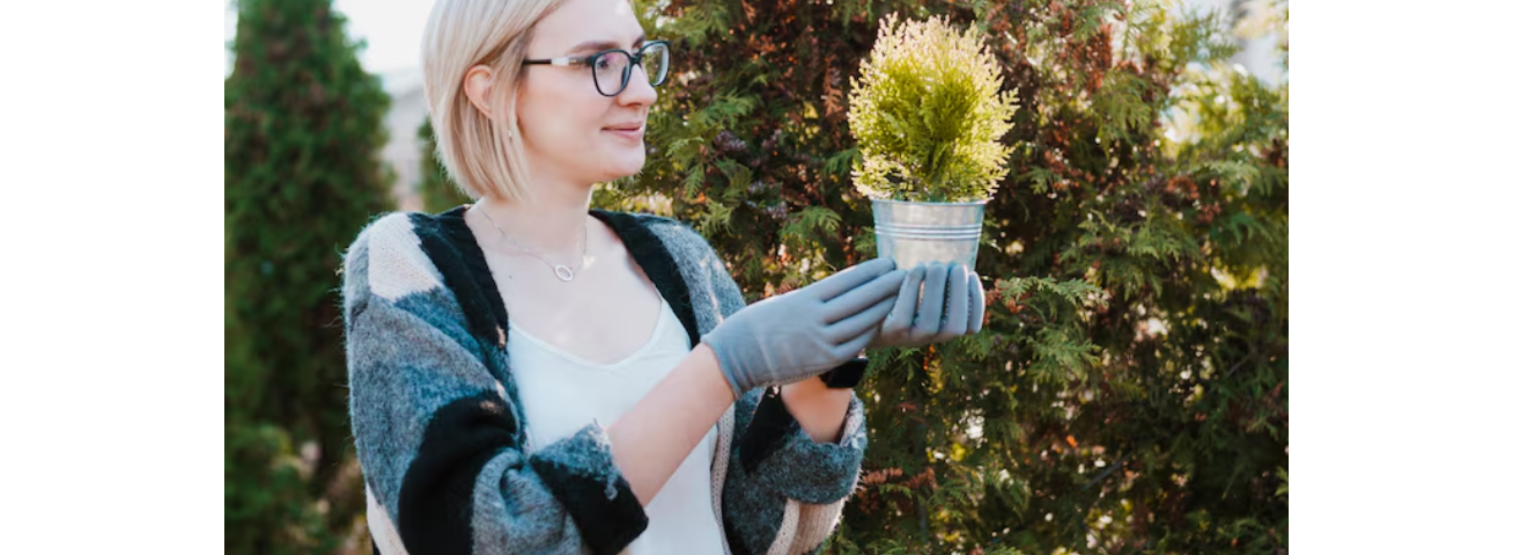 Why Plant With Willow Is a Game-Changer for Plant Lovers